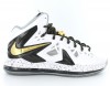 Nike Lebron X Elite Blanc/noir/or