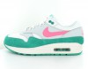 Nike Air max 1 watermelon-south beach