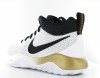 Nike Zoom Rev blanc-noir-or